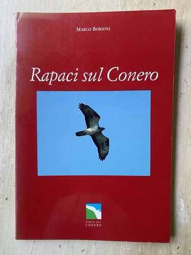 Rapaci sul conero marco - sul,