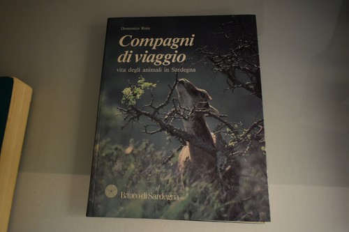 Ruju compagni viaggio vita - viaggio,