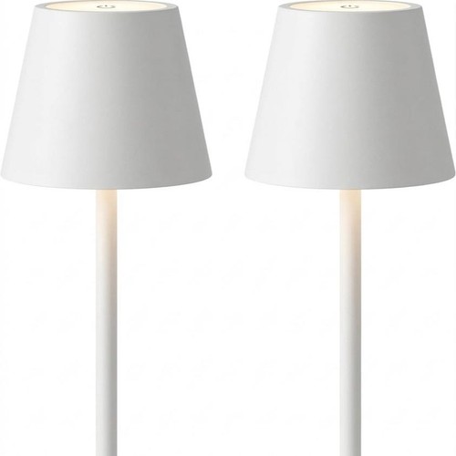 2pezzi lampada tavolo - 2pezzi,