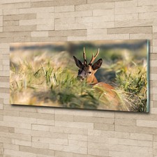 Quadro in vetro quadri da