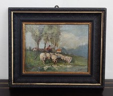 Dipinto olio su tavoletta Firmato Pecore al pascolo Cornice d'epoca 