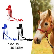 Briglia per cavallo con