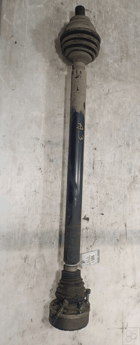 Semialbero ant compl - dx., ant.