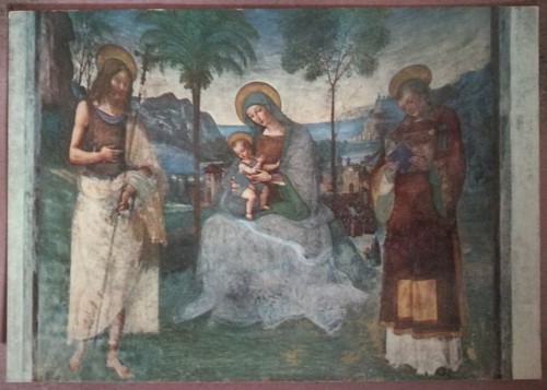 Spoleto duomo madonna col - -,