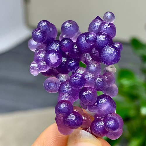 Agata uva viola naturale 13g - d'uva,