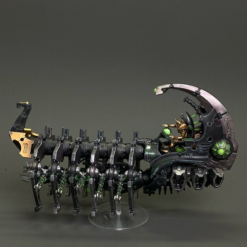 Pro painted necrons - pro,
