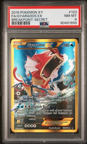 Pokemon breakpoint 2016 - pokemon,