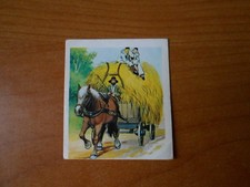 figurina PIERROT n.65-ed.LAMPO/FLASH 1981-COMPL.DI VELINA