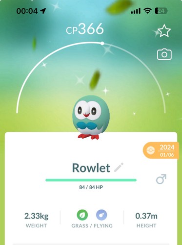 Shiny rowlet pokemon gen6 - rowlet, go
