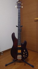 Ibanez MC924 Musicista Basso