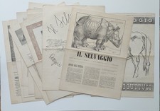 11 Numeri IL SELVAGGIO Xilo