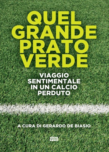 Libri quel grande prato verde - libri,