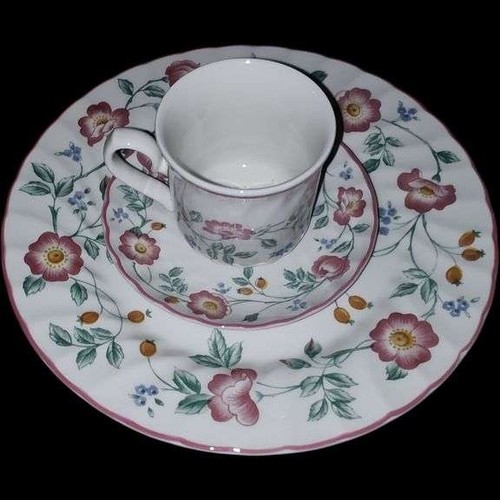 Nuovo churchill briar rose - nuovo,