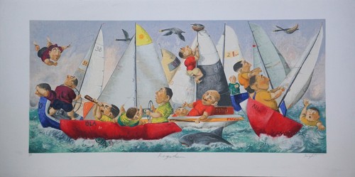 Pino procopio regatta grande - pino,