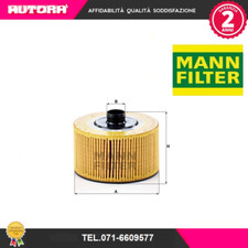 HU10002Z oil filter