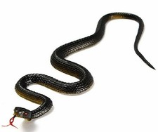 Realistico finto serpente - finto,