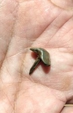 WW1 e WW2 Hobnail per stivali militari, originale e ora molto raro