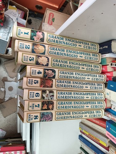 Curcio editore - curcio,