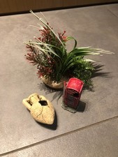 Accessori acquari piccoli per abbellire ambiente - pesci, tartarughe, rettili