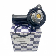 330424 Genuine Thermostat for