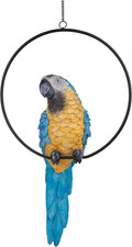 Polly Il Pappagallo in