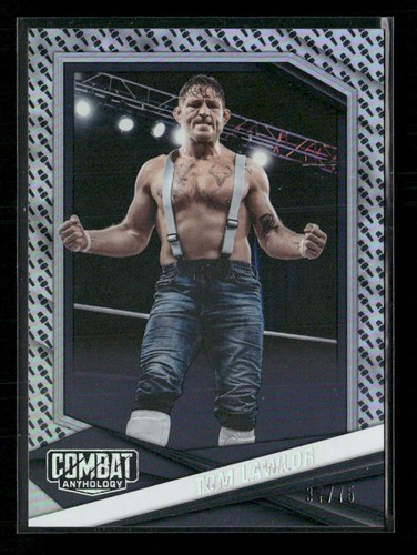 2025 panini combat anthology - 2025,