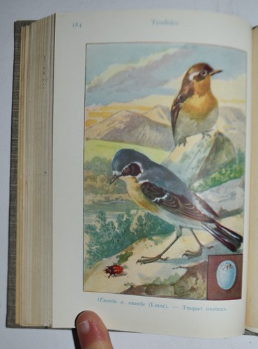 Uccelli francia fig 1937 - uccelli, di