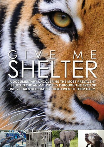 Give shelter dvd carole - me, shelter,