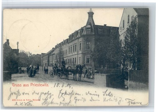 Carrozza cavallo priestewitz - cavallo,