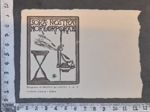 Wunderkammer exlibris 378 - exlibris,