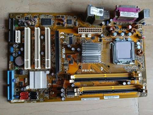 Scheda madre asus p5kpl - asus,