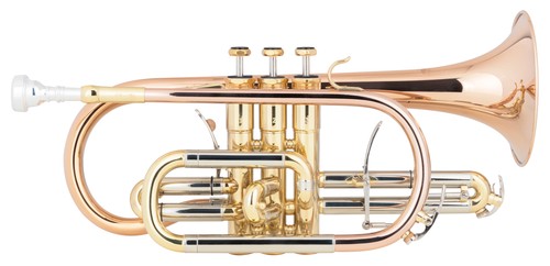 Professionale tromba cornetta - tromba,