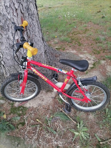 Bicicletta per bambini colore - bicicletta,