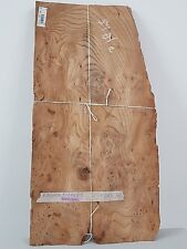 TRANCIATO DI RADICA DI OLMO, LISTE MISURA 66 x 32 CM