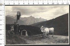 21_CADORE BELLUNO PANORAMA CON