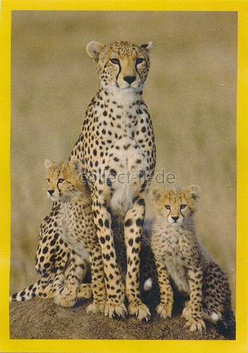 Panini national geographic - panini,