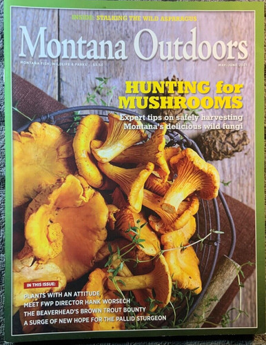 Montana outdoors magazine - montana,