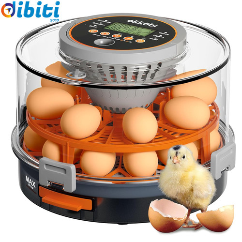Incubatrice per uova - incubatrice,