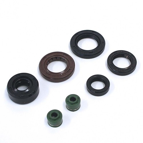 Kit paraoli motore 150cc - kit,