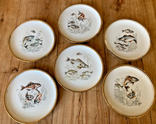 SERVIZIO DI PIATTI DA