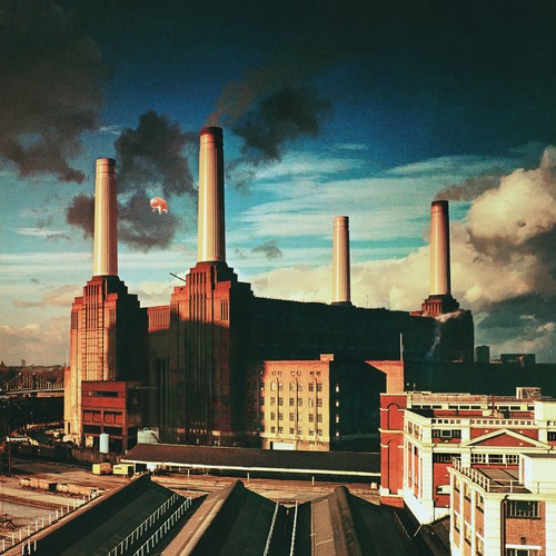 Pink floyd animals vinile - pink, lp