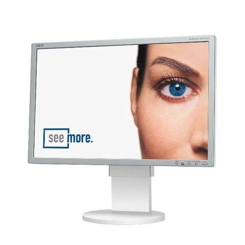 Nec multisync ea221wme - nec, 22"