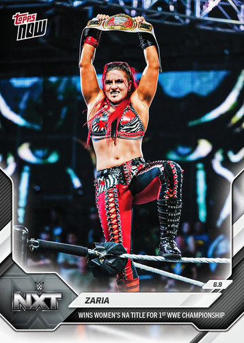Topps wwe wrestling - topps,