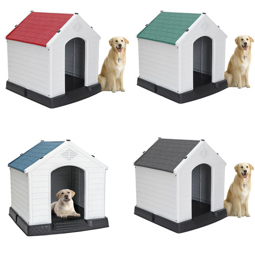 Cuccia per cani colori - cani, 4