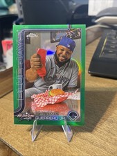 Vladimir Guerrero Jr. 2025