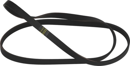 Cinghia elastica per - elastica, lavatrice