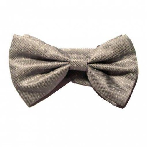 Papillon pois grigio - a,