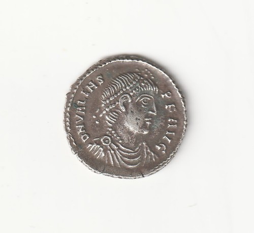 Siliqua valente copia - siliqua,