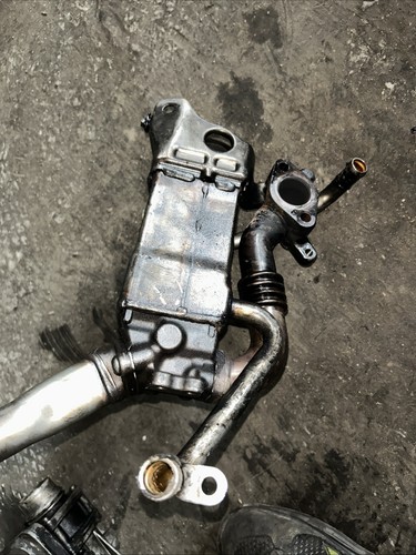 Radiatore valvola egr per - egr,