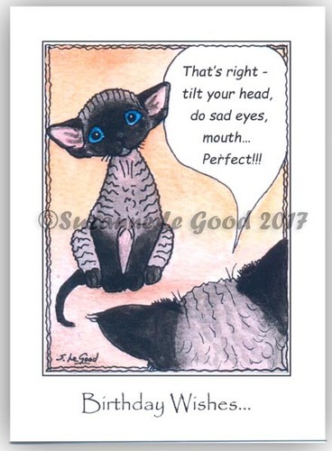 Devon rex cat art birthday - devon,